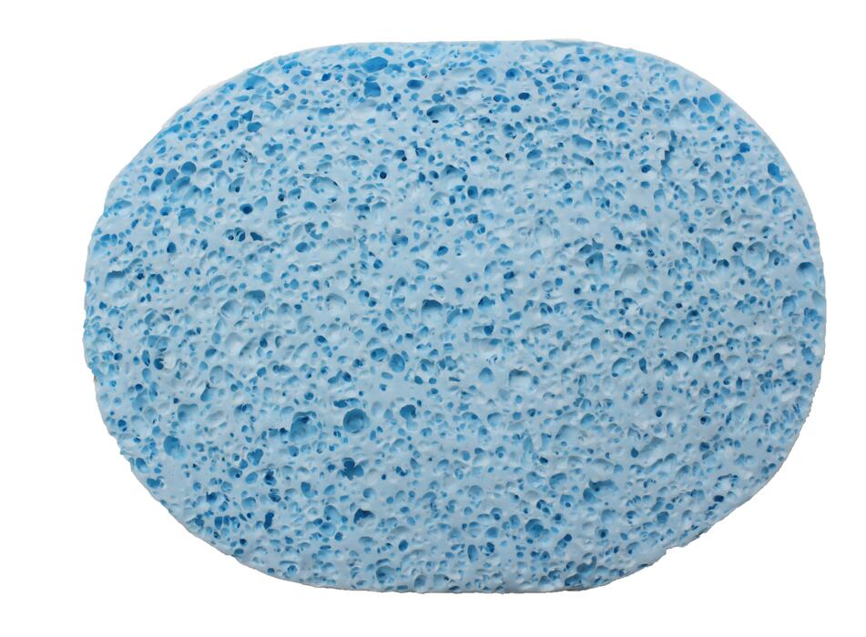 PVA SPONGE-CS20089