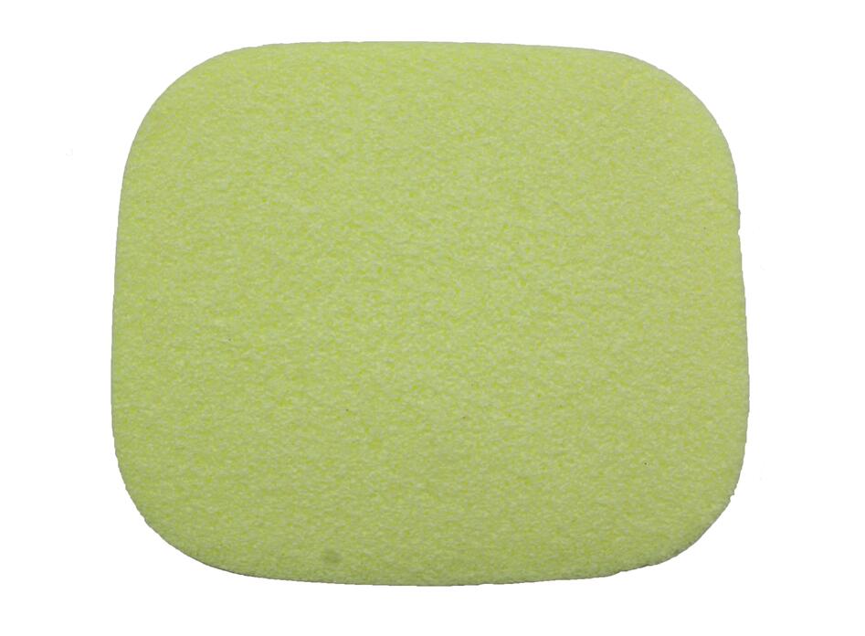 PVA SPONGE-CS20095